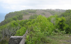bukit