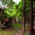 Where to stay in Kuta Bali