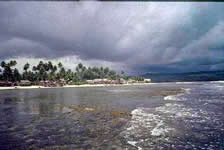 mentawais
