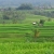Bali’s UNESCO Heritage Sites