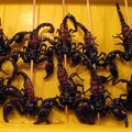 Strangest Foods in China