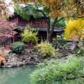 China in November