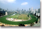 Happy Valley Race Track