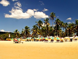 goa beach