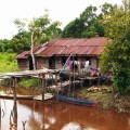 Things to See in Central Kalimantan