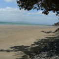 Summer in New Zealand