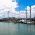Why You Should Add Auckland to Your RTW Trip