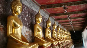 Day tours of Bangkok